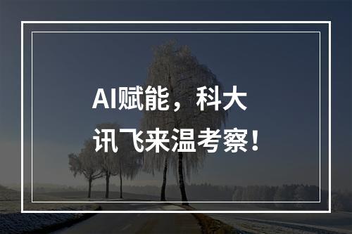 AI赋能，科大讯飞来温考察！