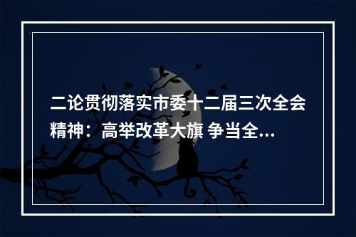 二论贯彻落实市委十二届三次全会精神：高举改革大旗 争当全面深化改革排头兵
