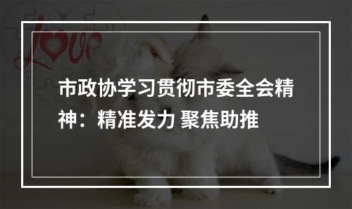 市政协学习贯彻市委全会精神：精准发力 聚焦助推