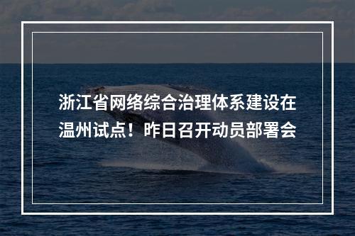 浙江省网络综合治理体系建设在温州试点！昨日召开动员部署会