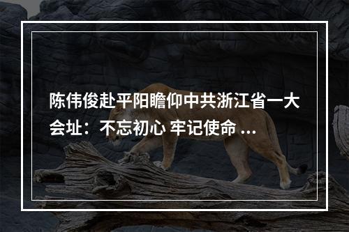 陈伟俊赴平阳瞻仰中共浙江省一大会址：不忘初心 牢记使命 奋力续写温州创新史再创温州新辉煌