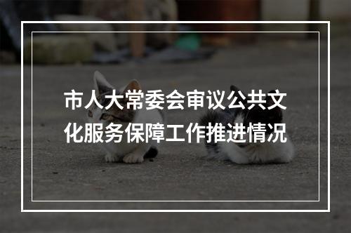 市人大常委会审议公共文化服务保障工作推进情况
