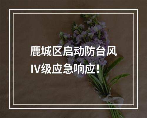 鹿城区启动防台风Ⅳ级应急响应！