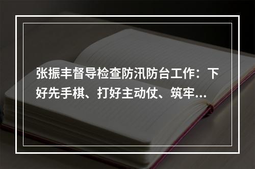 张振丰督导检查防汛防台工作：下好先手棋、打好主动仗、筑牢严密防线