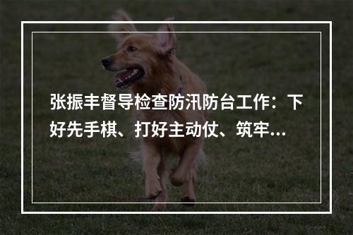 张振丰督导检查防汛防台工作：下好先手棋、打好主动仗、筑牢严密防线