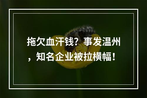 拖欠血汗钱？事发温州，知名企业被拉横幅！