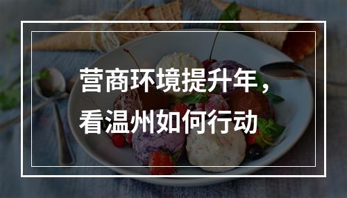 营商环境提升年，看温州如何行动