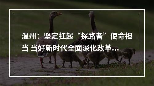 温州：坚定扛起“探路者”使命担当 当好新时代全面深化改革的排头兵