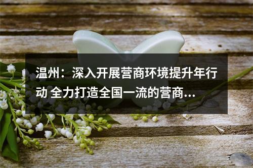 温州：深入开展营商环境提升年行动 全力打造全国一流的营商环境