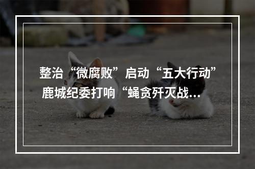 整治“微腐败”启动“五大行动” 鹿城纪委打响“蝇贪歼灭战”