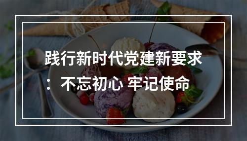 践行新时代党建新要求：不忘初心 牢记使命