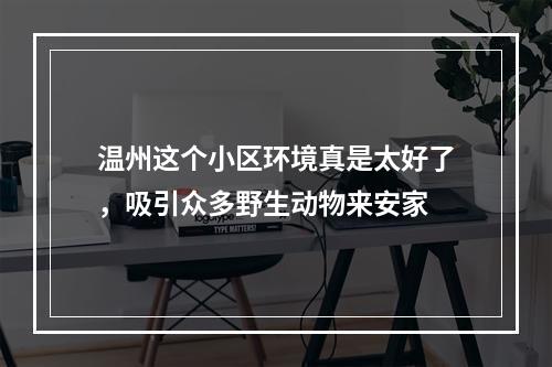 温州这个小区环境真是太好了，吸引众多野生动物来安家
