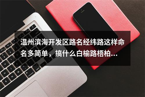 温州滨海开发区路名经纬路这样命名多简单，搞什么白榆路梧柏路！！！