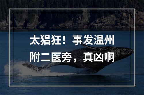 太猖狂！事发温州附二医旁，真凶啊