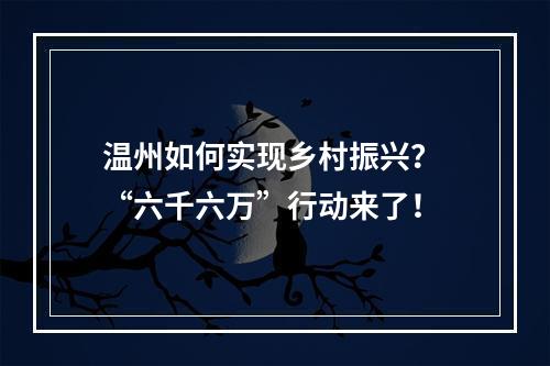 温州如何实现乡村振兴？ “六千六万”行动来了！