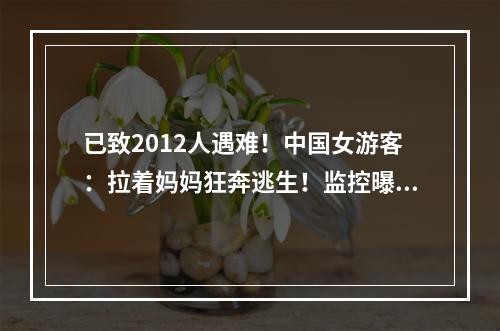 已致2012人遇难！中国女游客：拉着妈妈狂奔逃生！监控曝光揪心一幕……