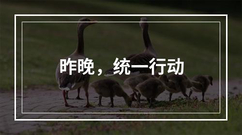 昨晚，统一行动