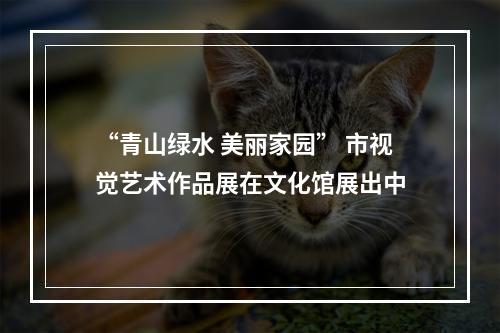 “青山绿水 美丽家园” 市视觉艺术作品展在文化馆展出中