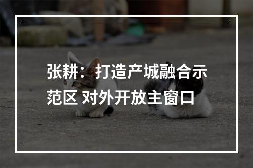 张耕：打造产城融合示范区 对外开放主窗口