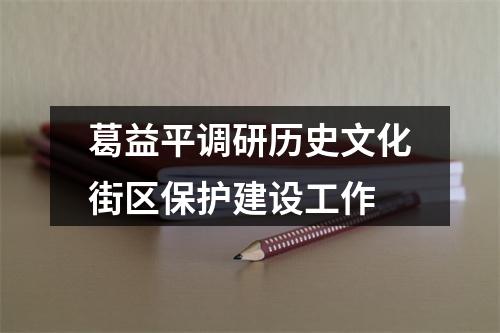 葛益平调研历史文化街区保护建设工作