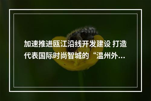 加速推进瓯江沿线开发建设 打造代表国际时尚智城的“温州外滩”