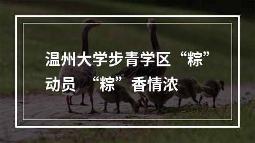 温州大学步青学区“粽”动员  “粽”香情浓