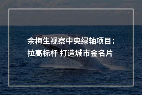 余梅生视察中央绿轴项目：拉高标杆 打造城市金名片