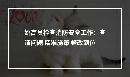 姚高员检查消防安全工作：查清问题 精准施策 整改到位
