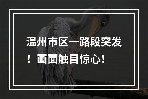 温州市区一路段突发！画面触目惊心！