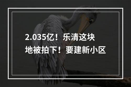 2.035亿！乐清这块地被拍下！要建新小区