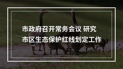 市政府召开常务会议 研究市区生态保护红线划定工作