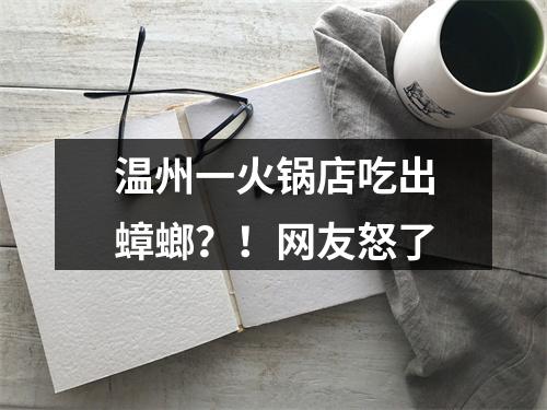 温州一火锅店吃出蟑螂？！网友怒了