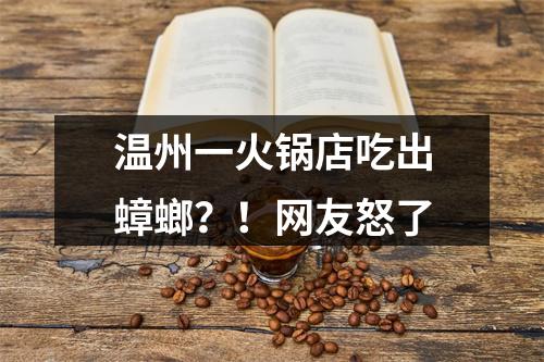 温州一火锅店吃出蟑螂？！网友怒了