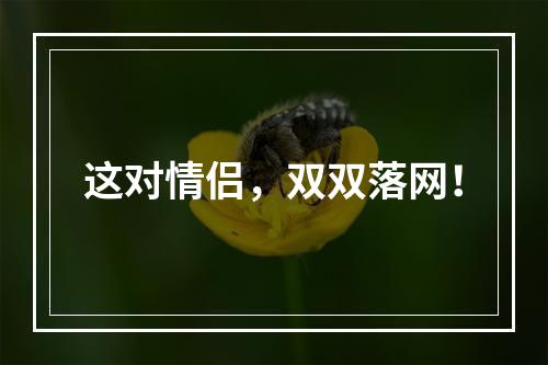 这对情侣，双双落网！