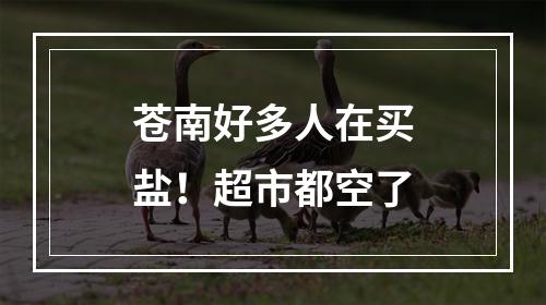 苍南好多人在买盐！超市都空了