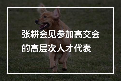 张耕会见参加高交会的高层次人才代表
