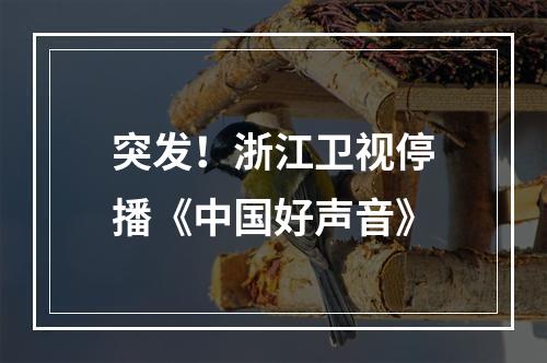 突发！浙江卫视停播《中国好声音》