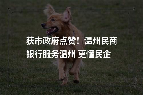 获市政府点赞！温州民商银行服务温州 更懂民企