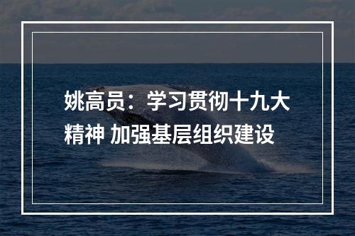 姚高员：学习贯彻十九大精神 加强基层组织建设