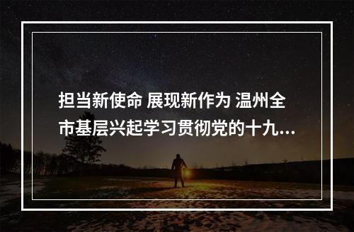担当新使命 展现新作为 温州全市基层兴起学习贯彻党的十九大精神热潮