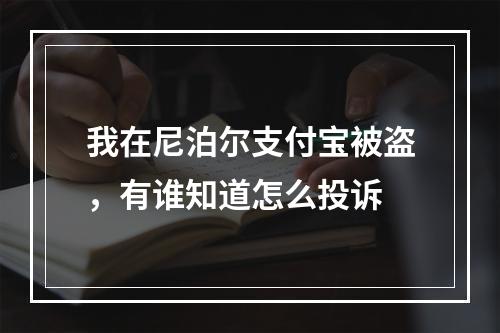 我在尼泊尔支付宝被盗，有谁知道怎么投诉