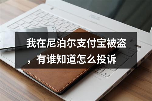 我在尼泊尔支付宝被盗，有谁知道怎么投诉