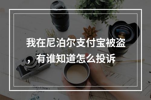 我在尼泊尔支付宝被盗，有谁知道怎么投诉