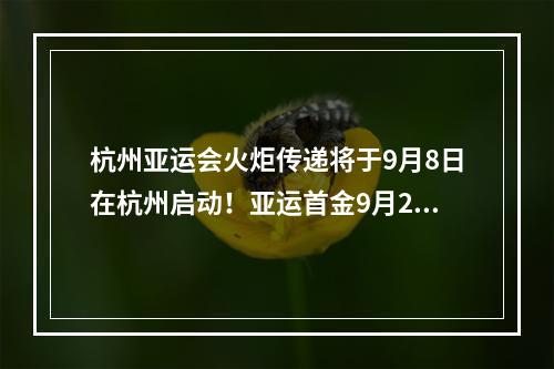 杭州亚运会火炬传递将于9月8日在杭州启动！亚运首金9月24日将在这个场馆产 ...