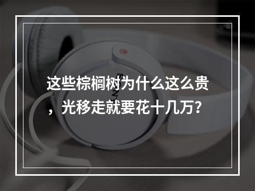 这些棕榈树为什么这么贵，光移走就要花十几万？