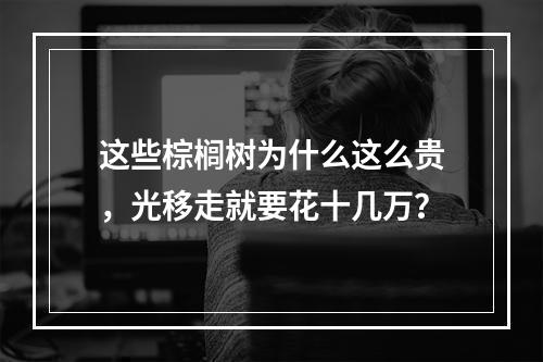 这些棕榈树为什么这么贵，光移走就要花十几万？