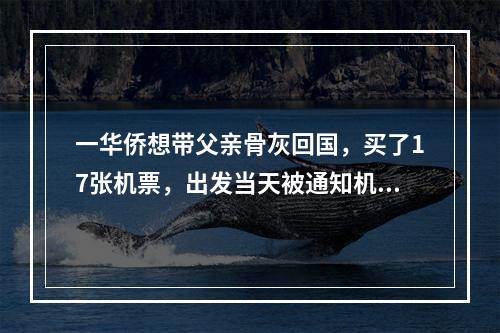 一华侨想带父亲骨灰回国，买了17张机票，出发当天被通知机票没了……