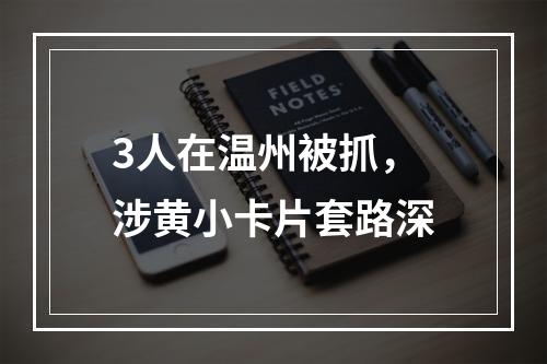 3人在温州被抓，涉黄小卡片套路深