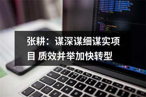 张耕：谋深谋细谋实项目 质效并举加快转型