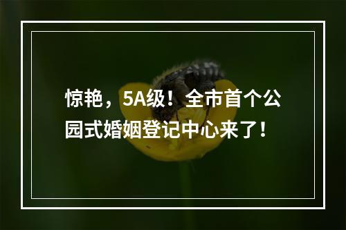 惊艳，5A级！全市首个公园式婚姻登记中心来了！